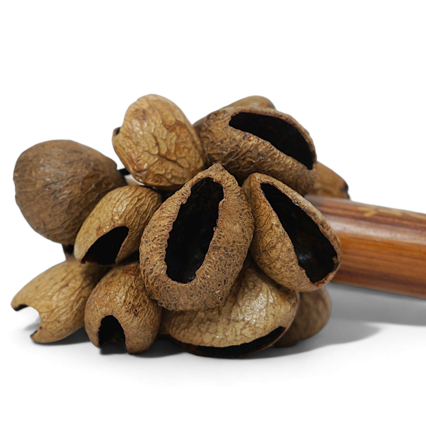 Musical Shakers | Gmp Pangi Shaker W/ Bamboo Handle Shak 12 | Groove Masters Percussion