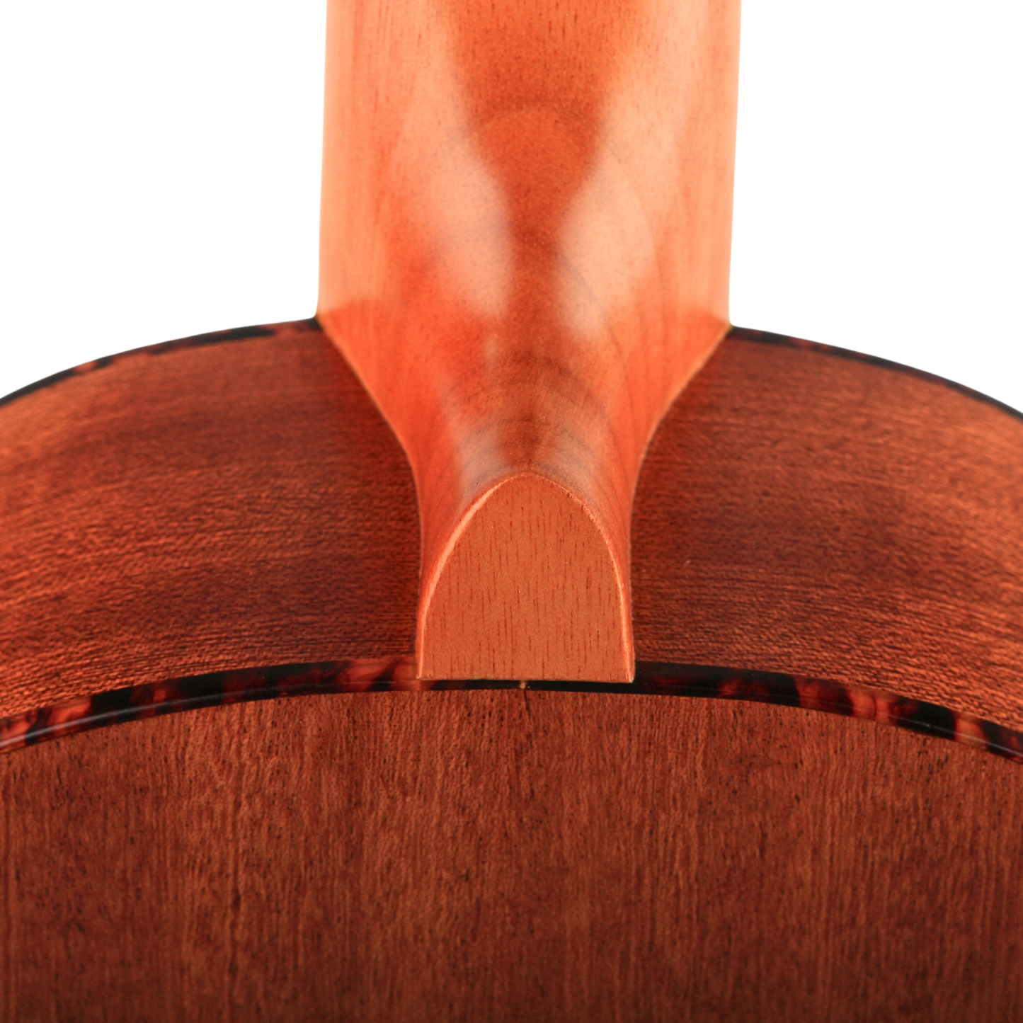 Ukuleles | Pukanala Ukulele with Bag Navigation Series Pu Nvs/c/t(3 Sizes) | Empire Music Co. Ltd