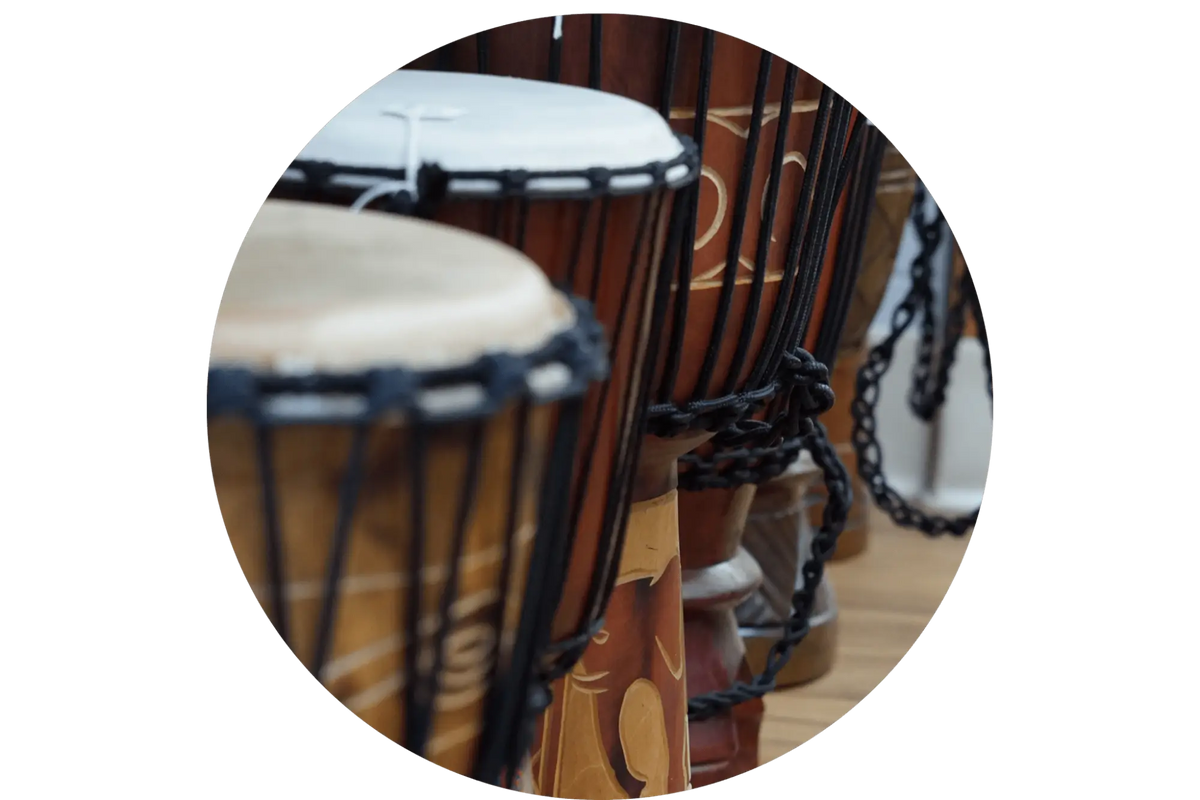 What to Look for When Buying a Djembe - An In-Depth Guide - Empire Music Co. Ltd