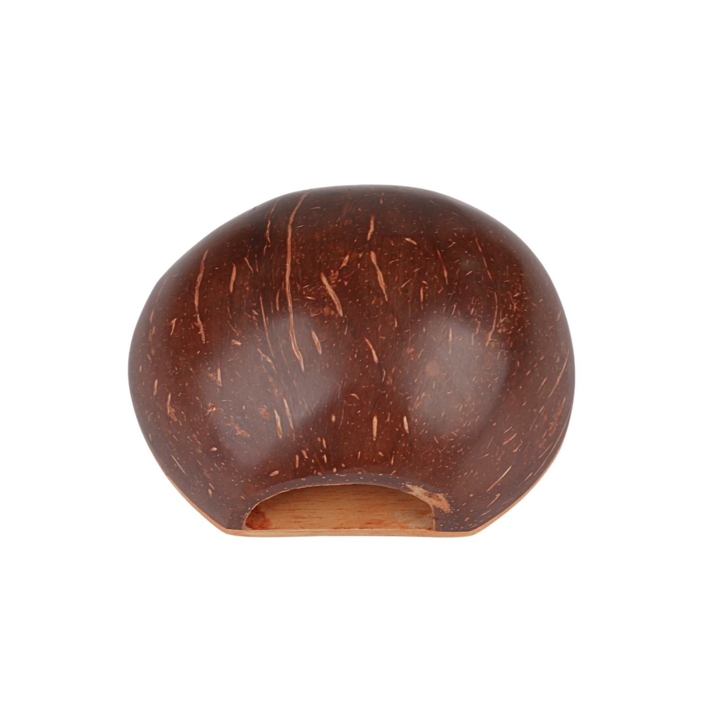 GMP Cocoback Drum (COCOBAK)