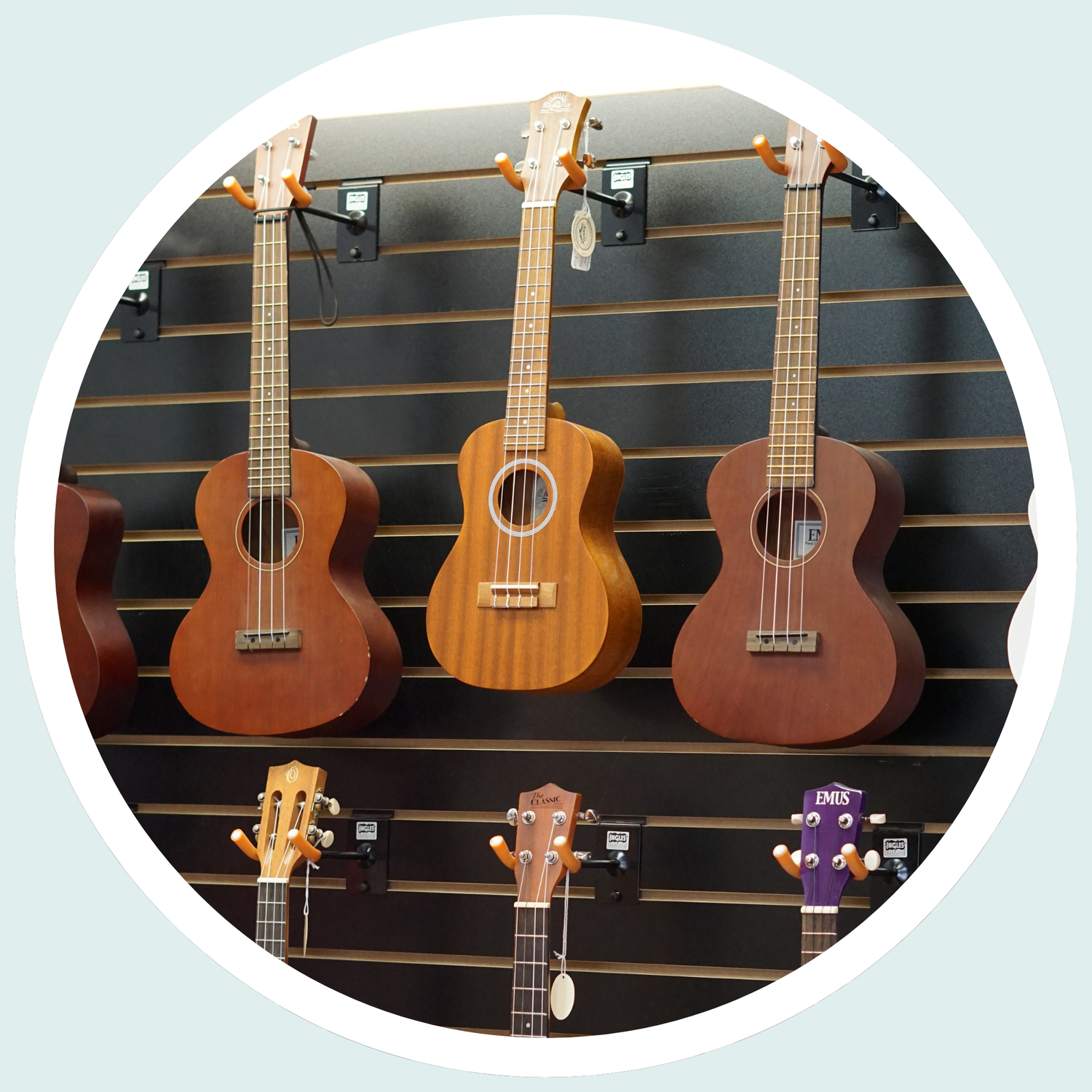Musical instrument wholesaler and retailer, run by music educators ...