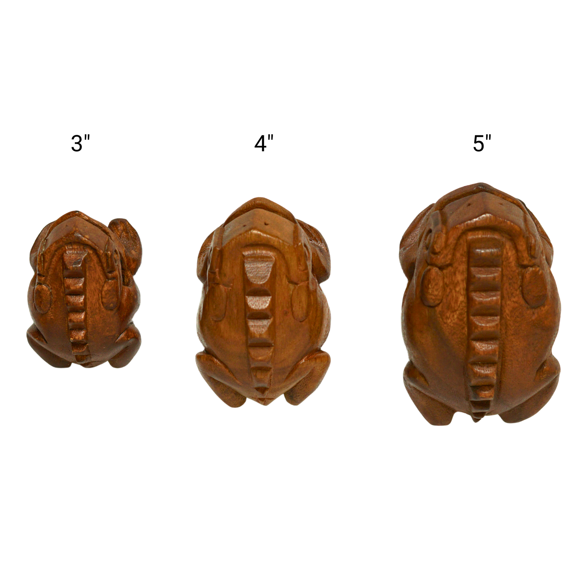 GUIROS | GMP FROG GUIRO FAMILY 3-PIECE SET | HAND-CARVED WOODEN PERCUSSION