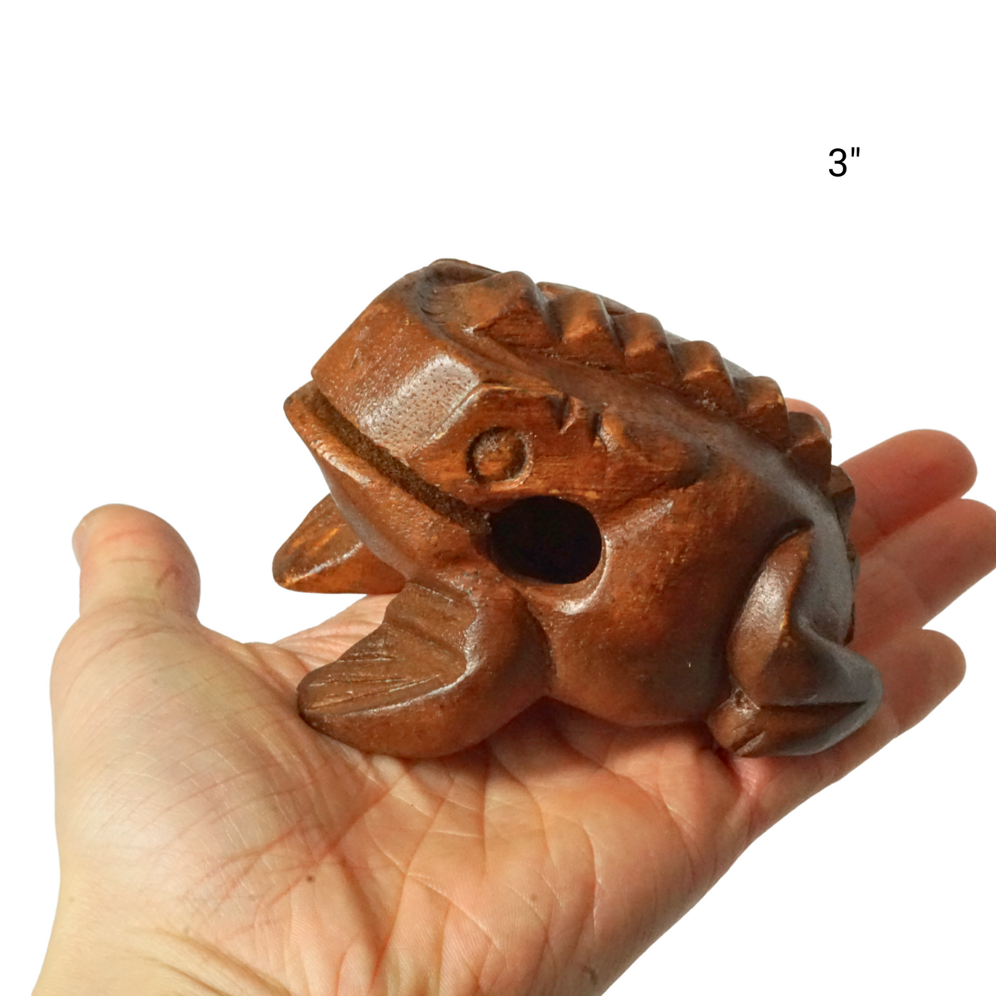 GUIROS | GROOVE MASTERS PERCUSSION FROG GUIRO | HAND-CARVED WOODEN