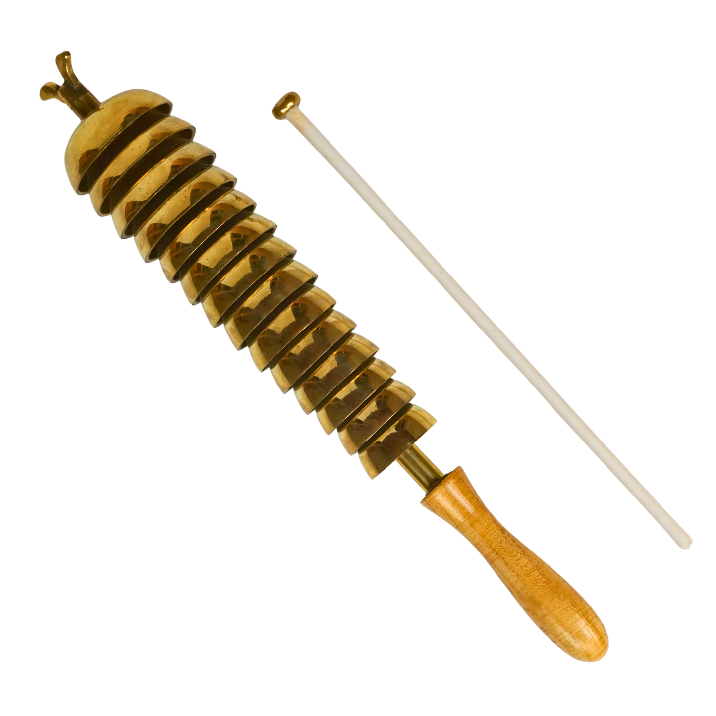 Indian Bell Tree - BEL-TRE