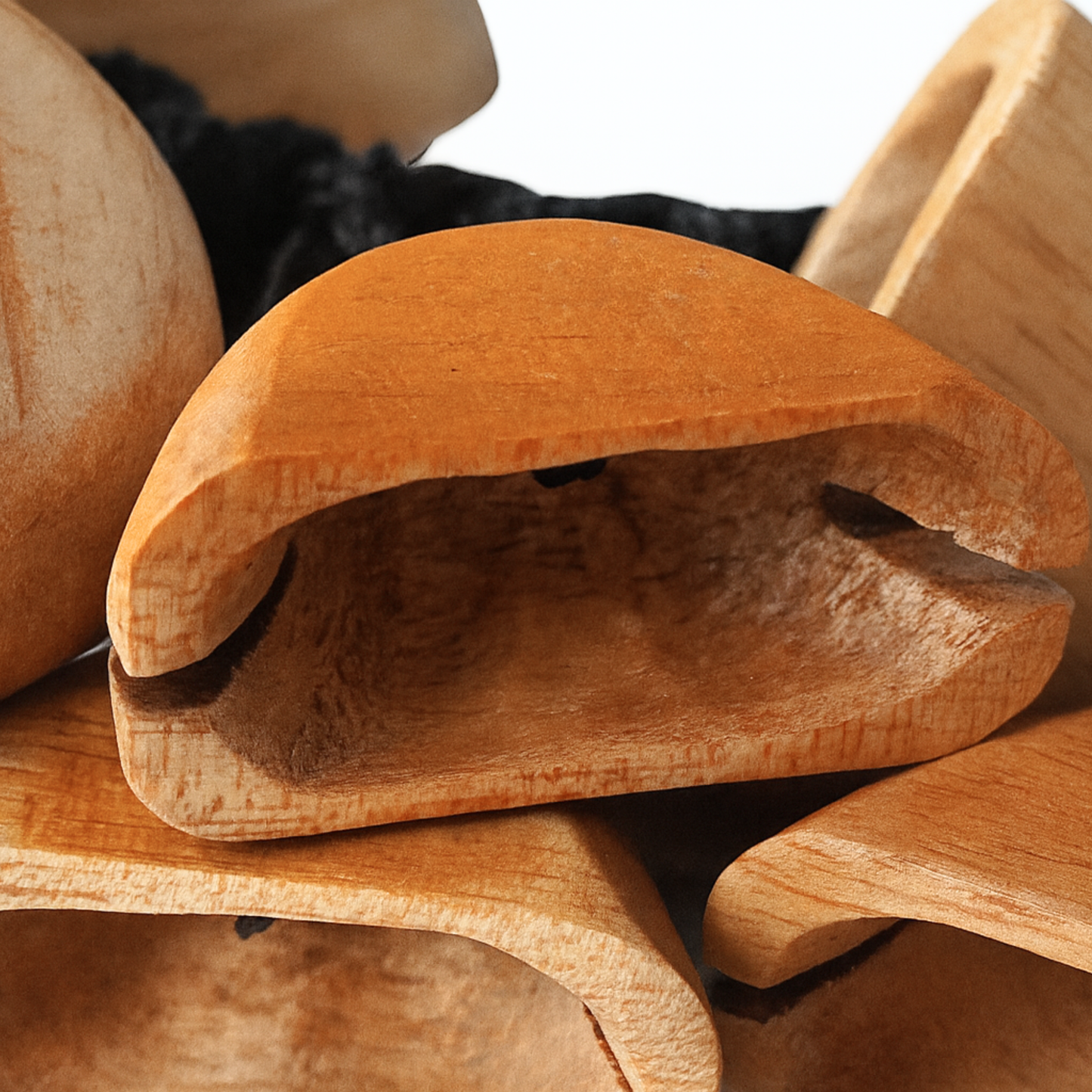 MUSICAL SHAKERS | WOOD WATERFALL BIRD SOUND EFFECT | PERCUSSION INSTRUMENT