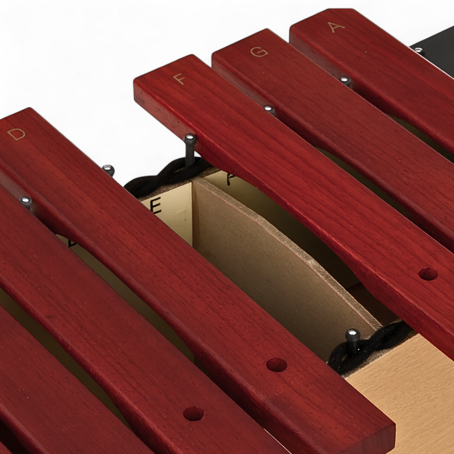 SUZUKI Bass Diatonic Xylophone - XPB-16