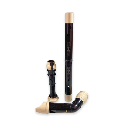 AULOS Bass Recorder - E521 - Empire Music Co. Ltd-Recorders-Aulos