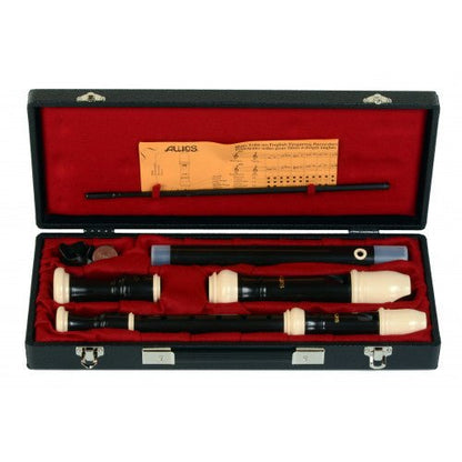 AULOS E503 + E509 Recorders with Hard Case - C539 - Empire Music Co. Ltd-Recorder Cases-Aulos