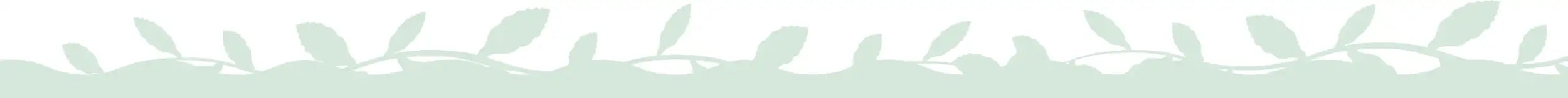 A delicate, light green leafy border design.