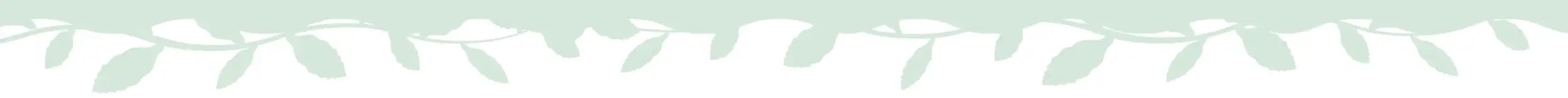 A delicate, light green leafy border with a soft, watercolor-like finish.