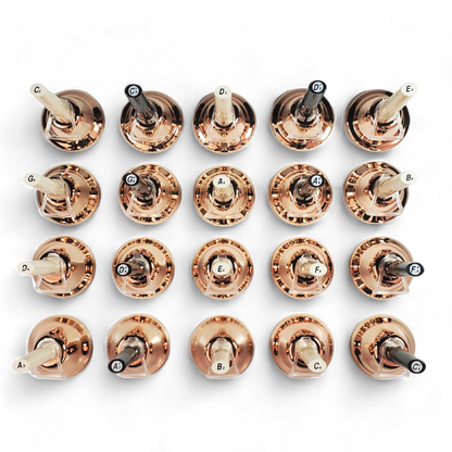 EMUS 20-Note Junior Hand-Bell Set with Push Buttons Gold - JHBG-20