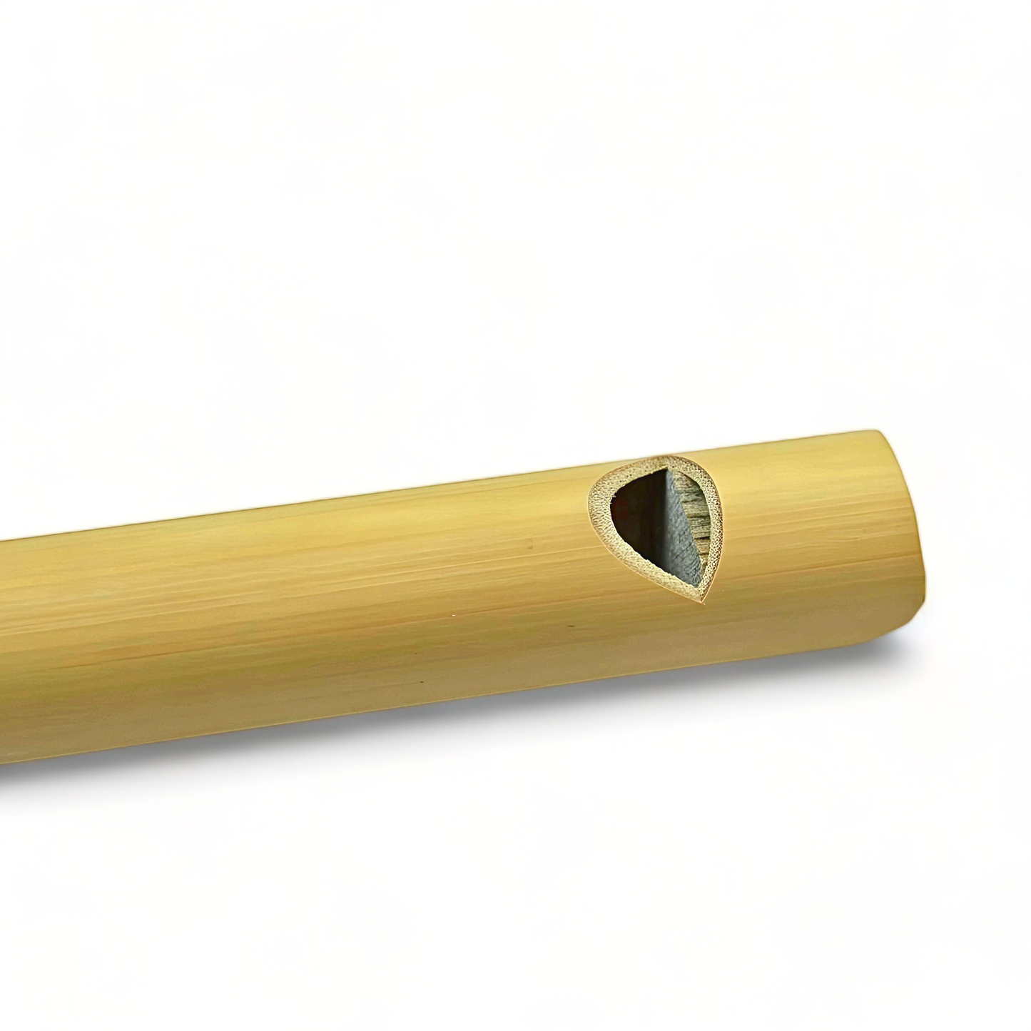 GMP bamboo loon whistle