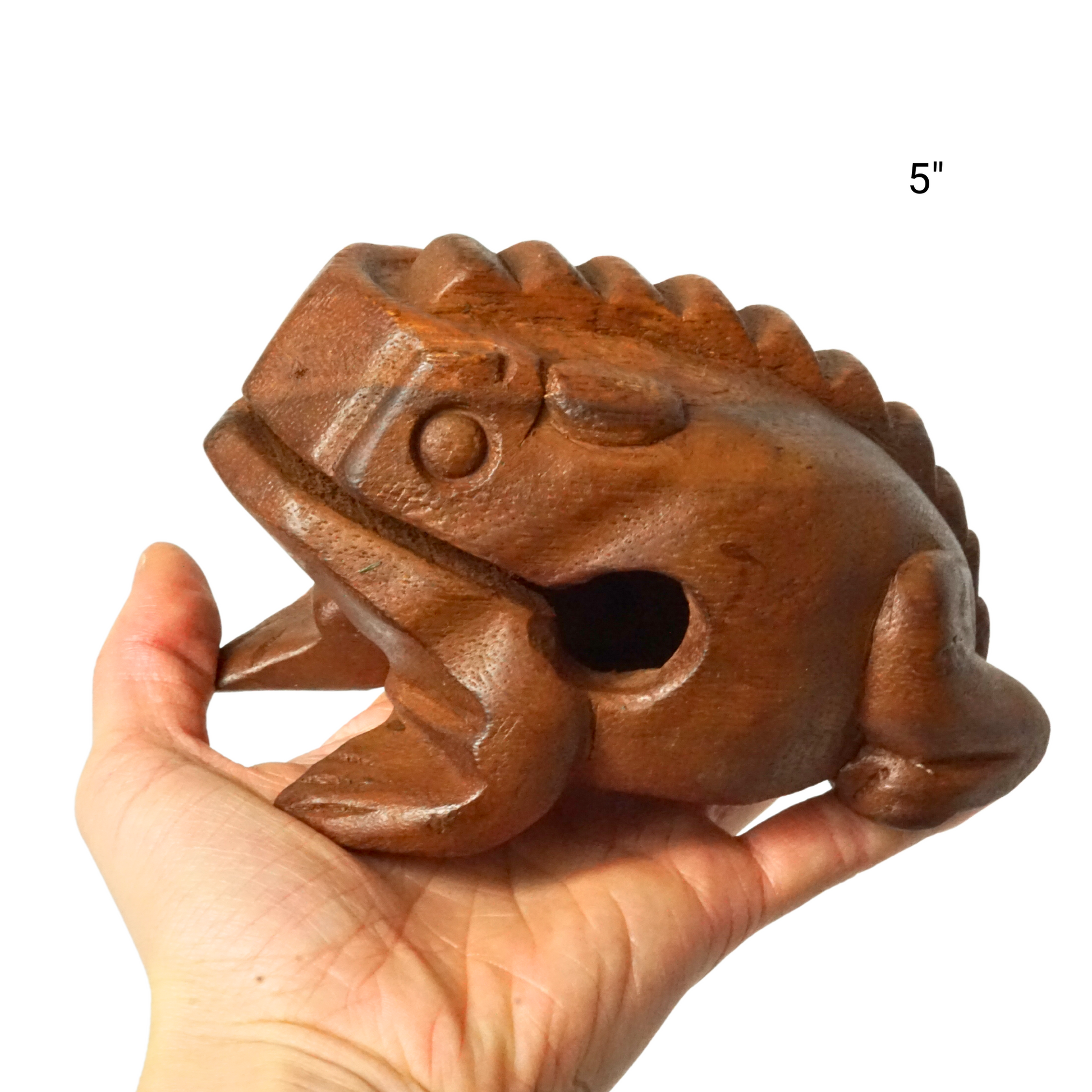 GMP Frog Guiro Dark-Stained - FROG-S-(8 Sizes) - Groove Masters Percussion