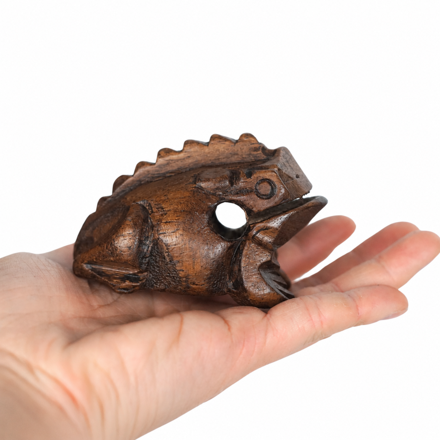 GMP Frog Guiro - FROG-S_(choose size) - Groove Masters Percussion