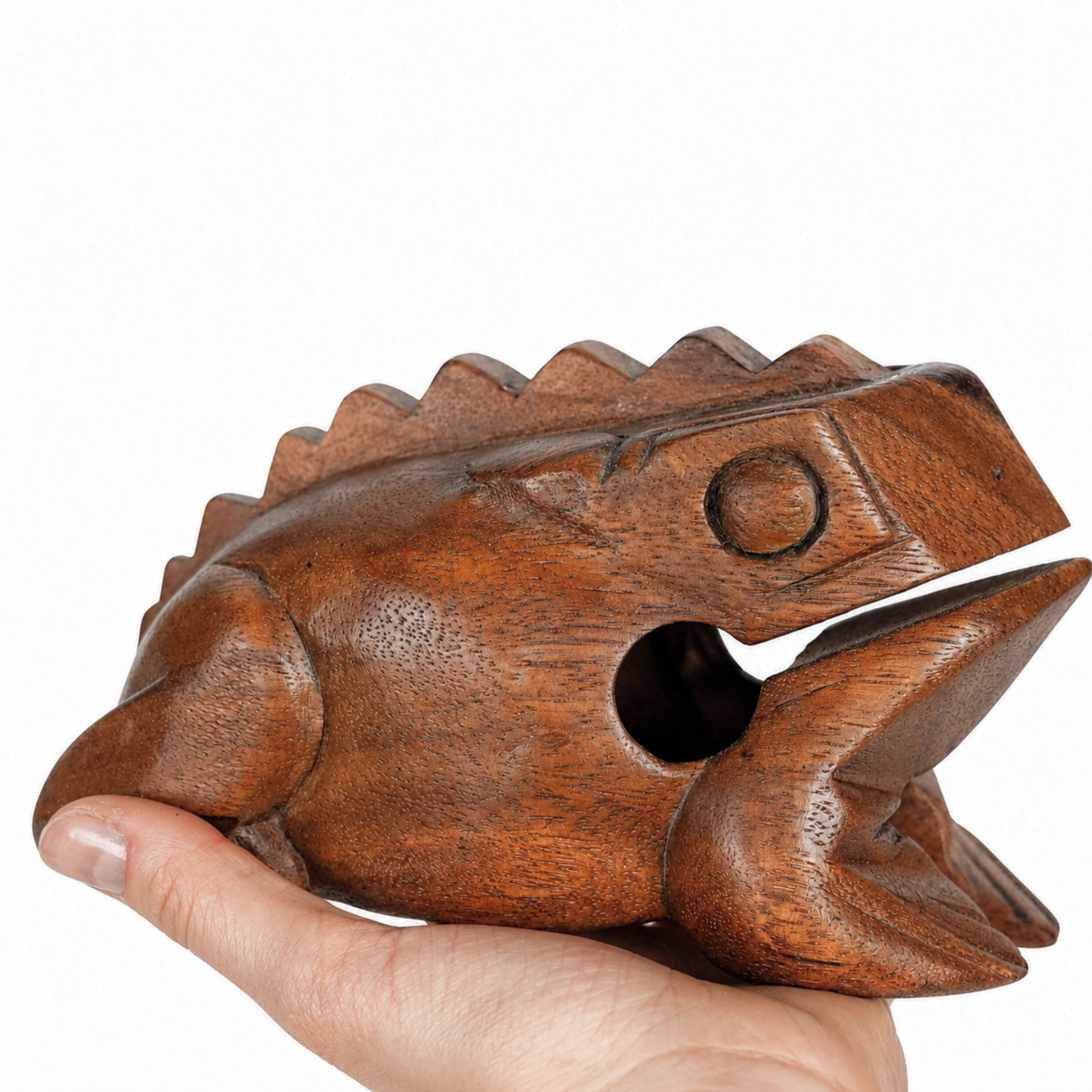 GMP Frog Guiro - FROG-S_(choose size) - Groove Masters Percussion