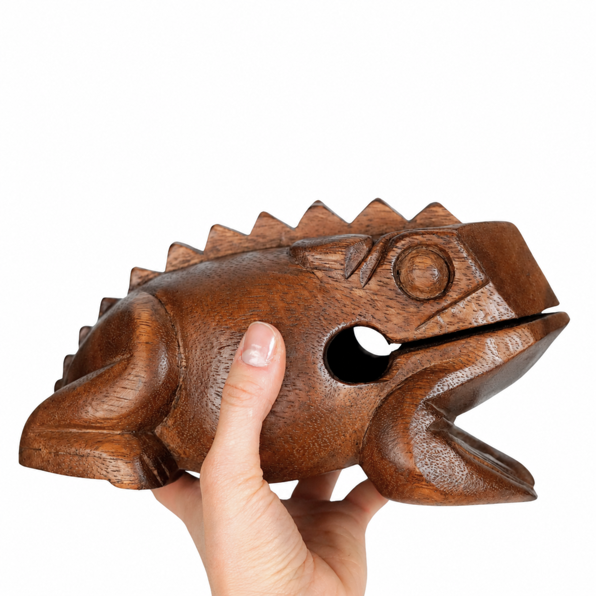 GMP Frog Guiro - FROG-S_(choose size) - Groove Masters Percussion