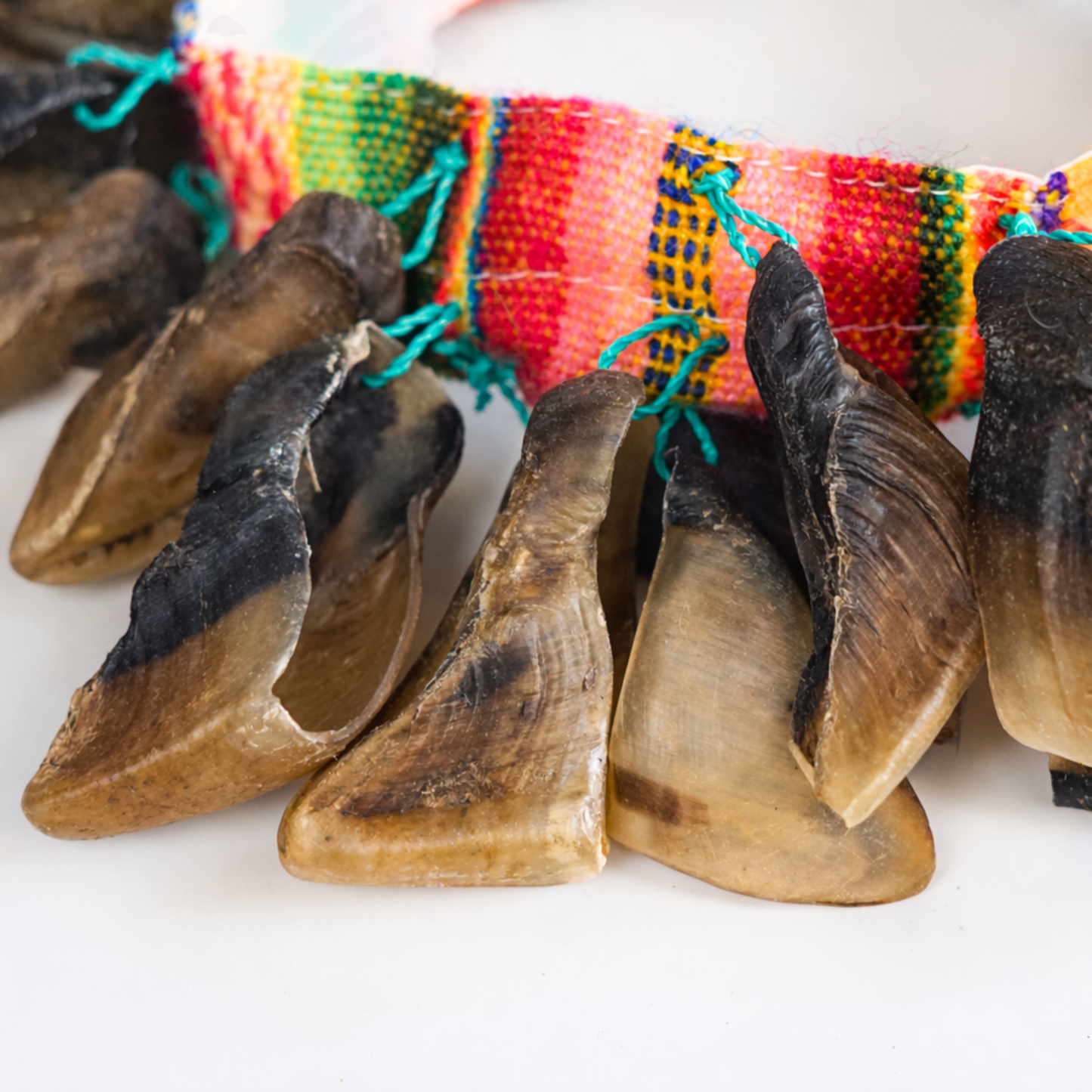 GMP Goat Hoof Shaker / Chajchas - N-GHS - Groove Masters Percussion