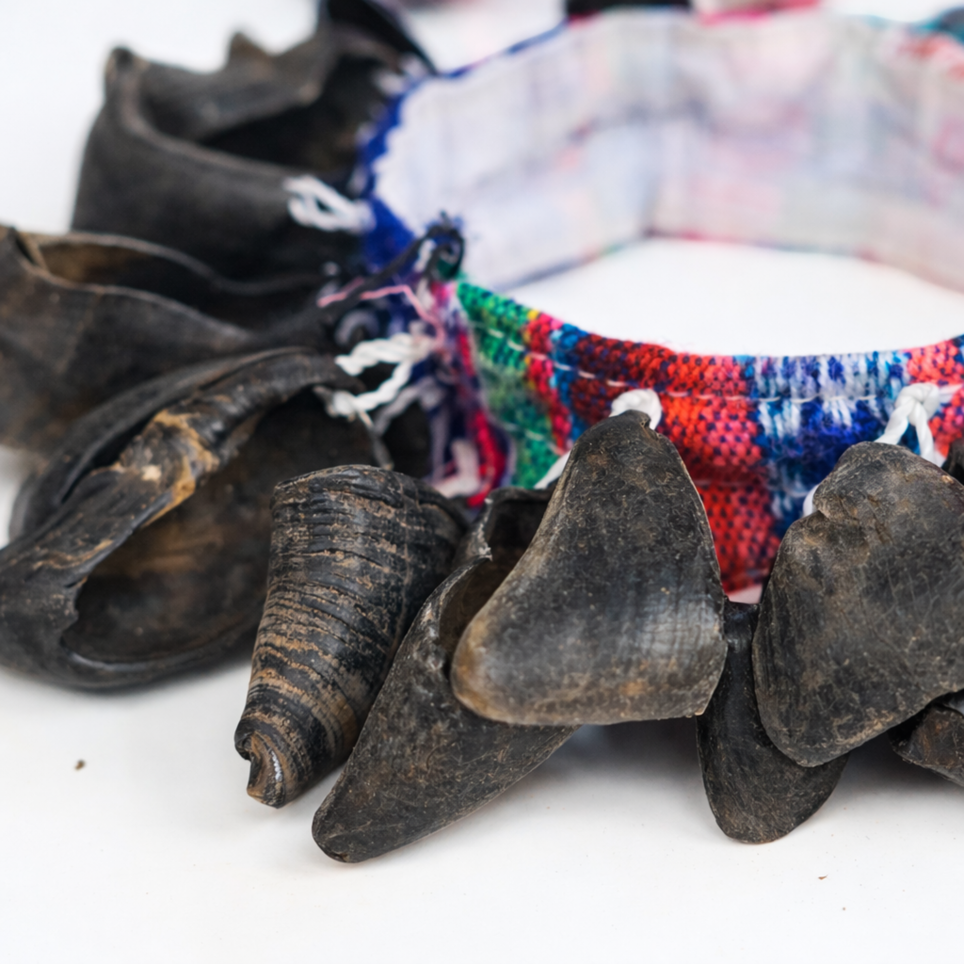 GMP Goat Hoof Shaker / Chajchas - N-GHS - Groove Masters Percussion