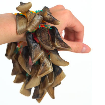 GMP Goat Hoof Shaker / Chajchas - N-GHS - Groove Masters Percussion