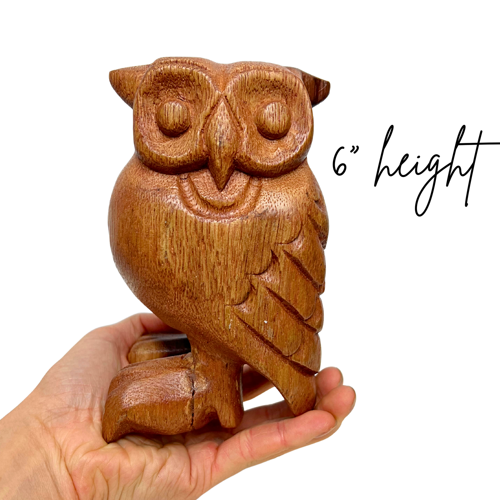 Percussion | Gmp Owl Whistle b Owl (4 Sizes) 6’’ | Groove Masters