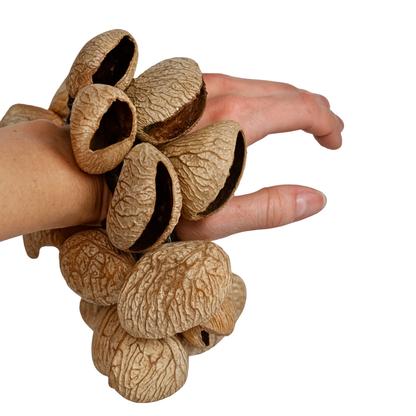 GMP Wearable Pangi Shaker for Ankles & Wrist - SHAK-15 - Groove Masters Percussion