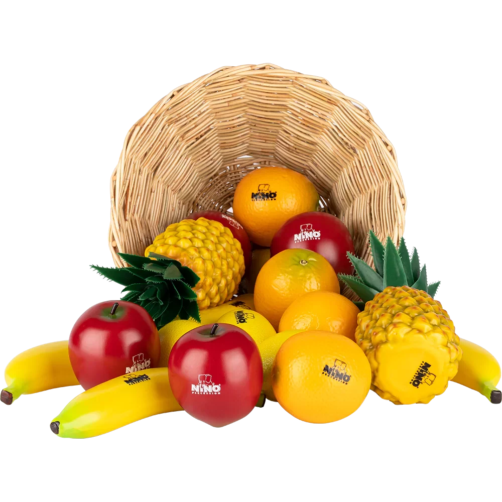 NINO 18pc Fruit Shaker Set - NINOSET536