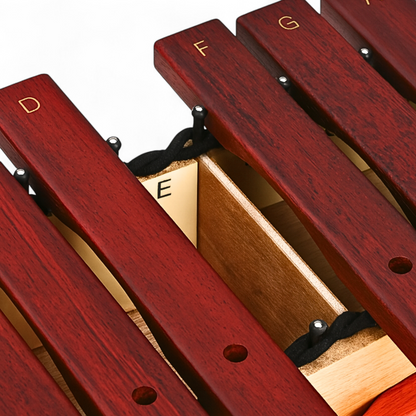 SUZUKI Alto Diatonic Xylophone - XPA-16