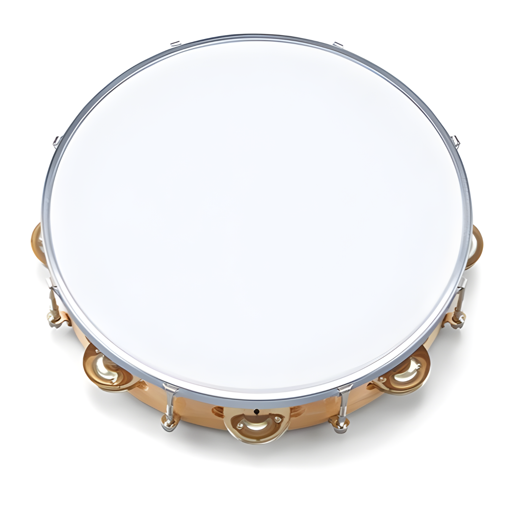 SUZUKI Tunable 10" Tambourine - STR-25B