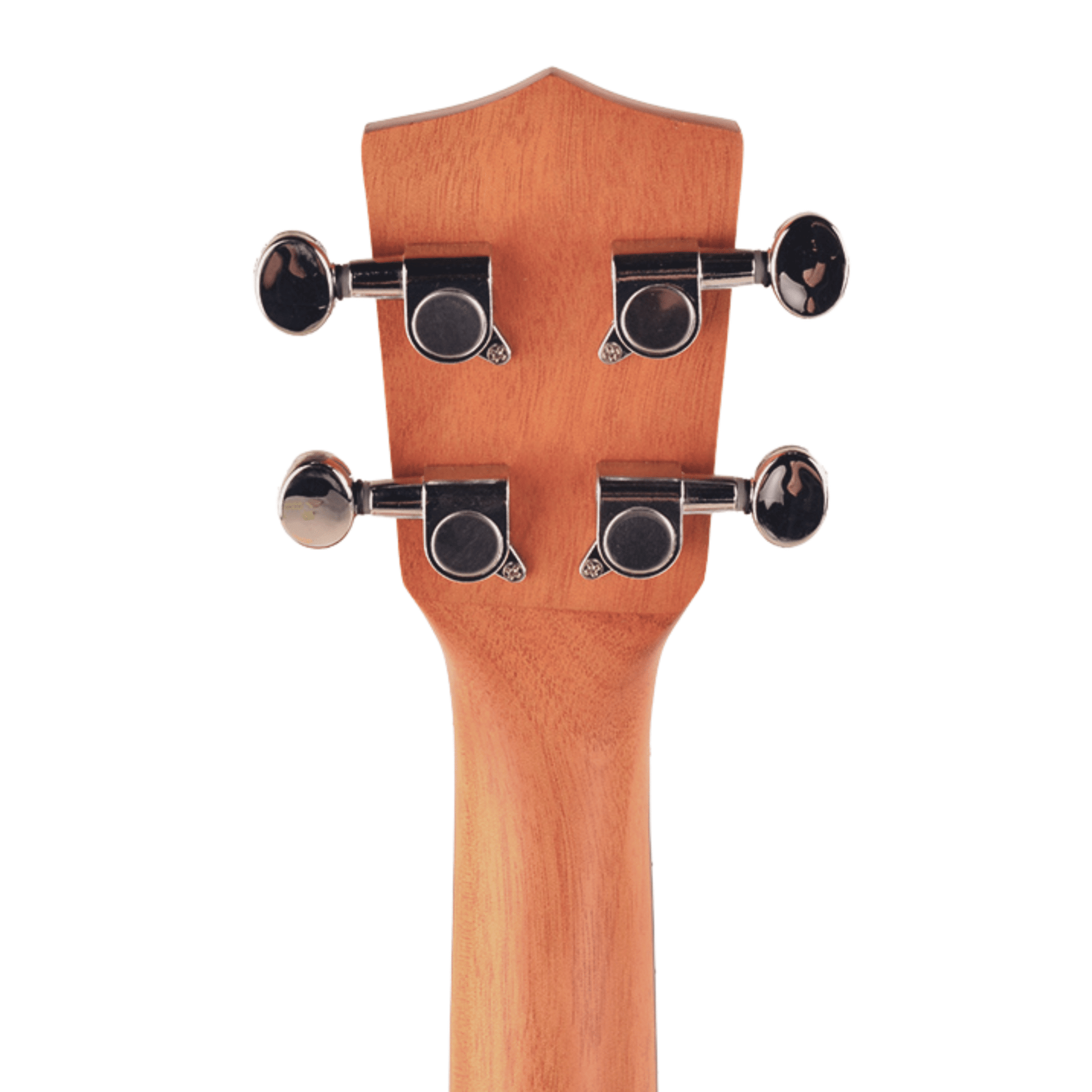 ☆Buy THE CLASSIC™ Tenor Ukulele - CL600M Online at Empire Music